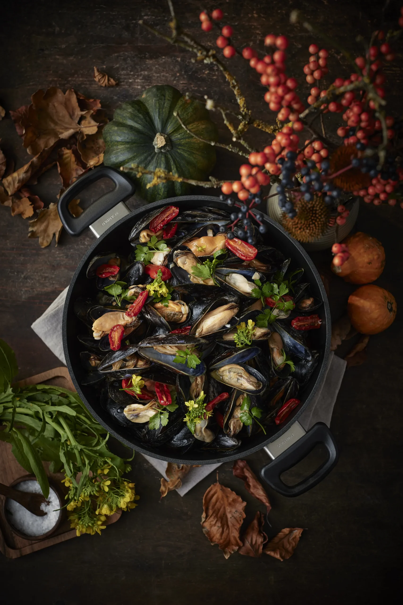 SCANPAN Schmorpfannen|Topfsortiment>26 cm/4,0 L Schmortopf mit Deckel - Classic